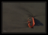 Tableau de sable2
